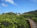 boardwalk_across_lizard_island