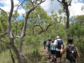 bush_walking