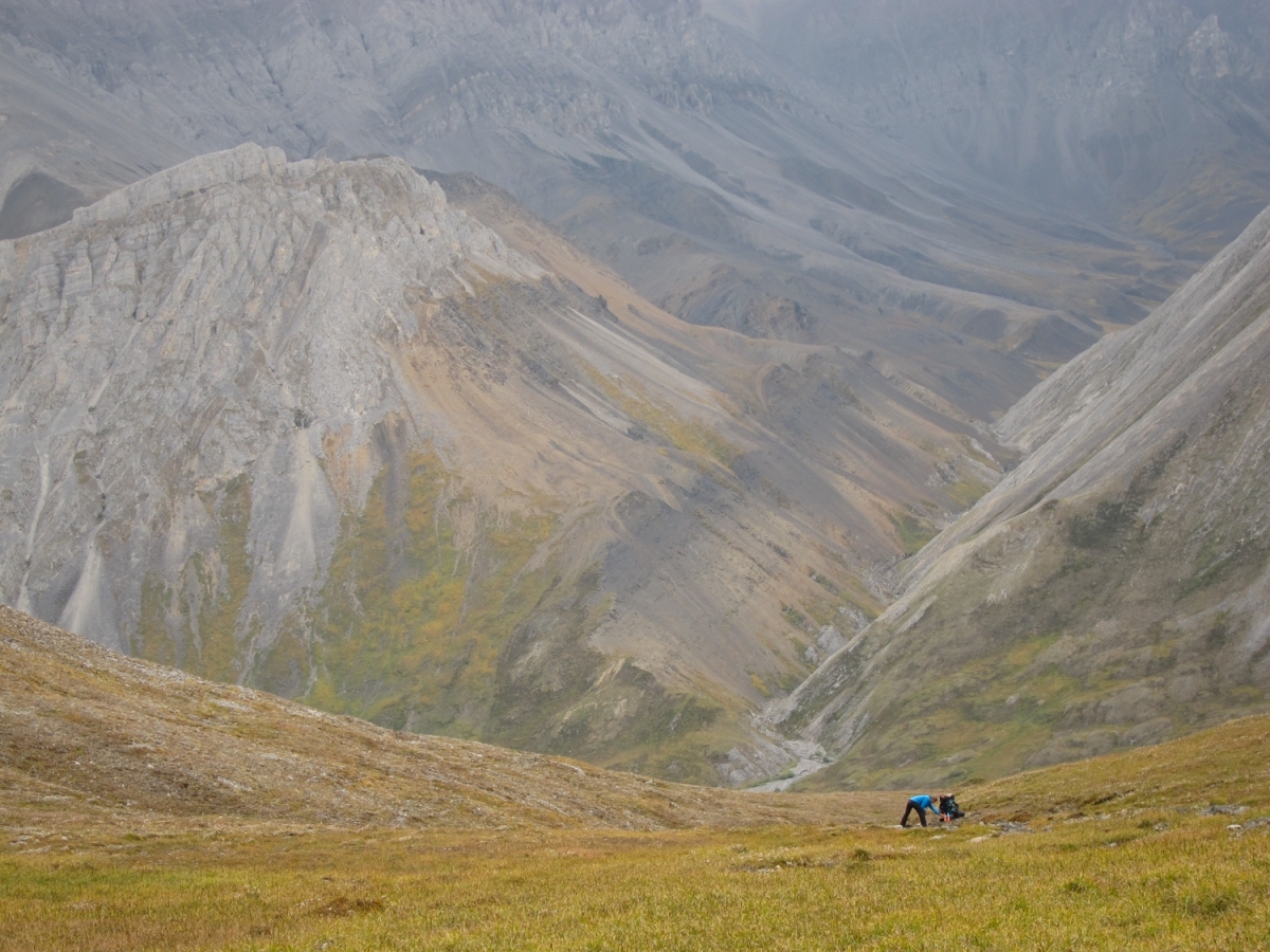 brooks_range_2013-1-12