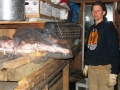 pig-marinating-in-the-wood-shed