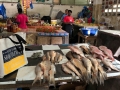 Liberia-Blog-54