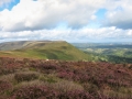 wales_2013-115