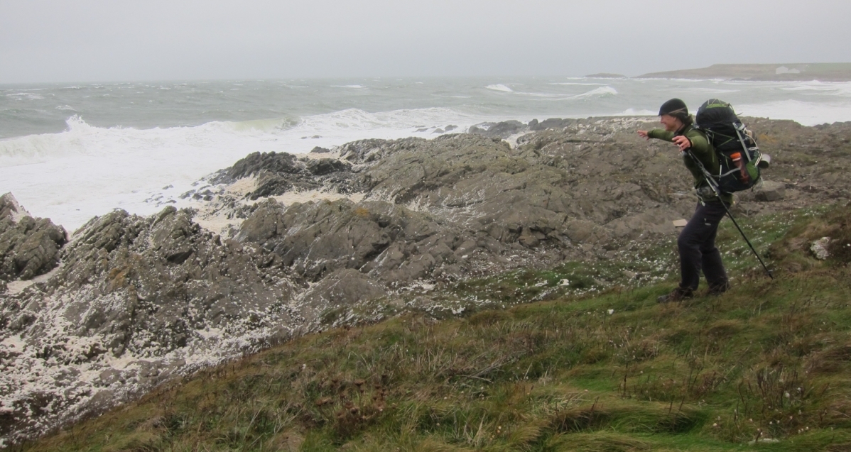 wales_2013-180